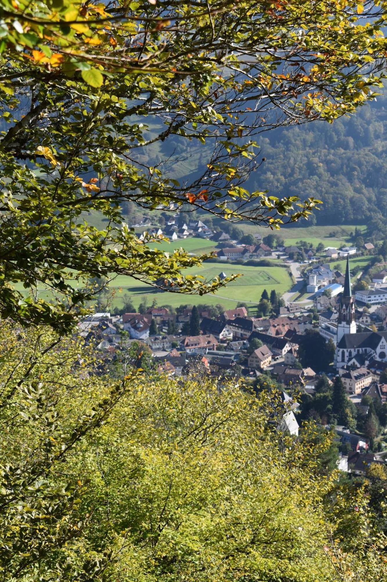 Gartenferienhaus "Annaluise" Schönau im Schwarzwald Extérieur photo