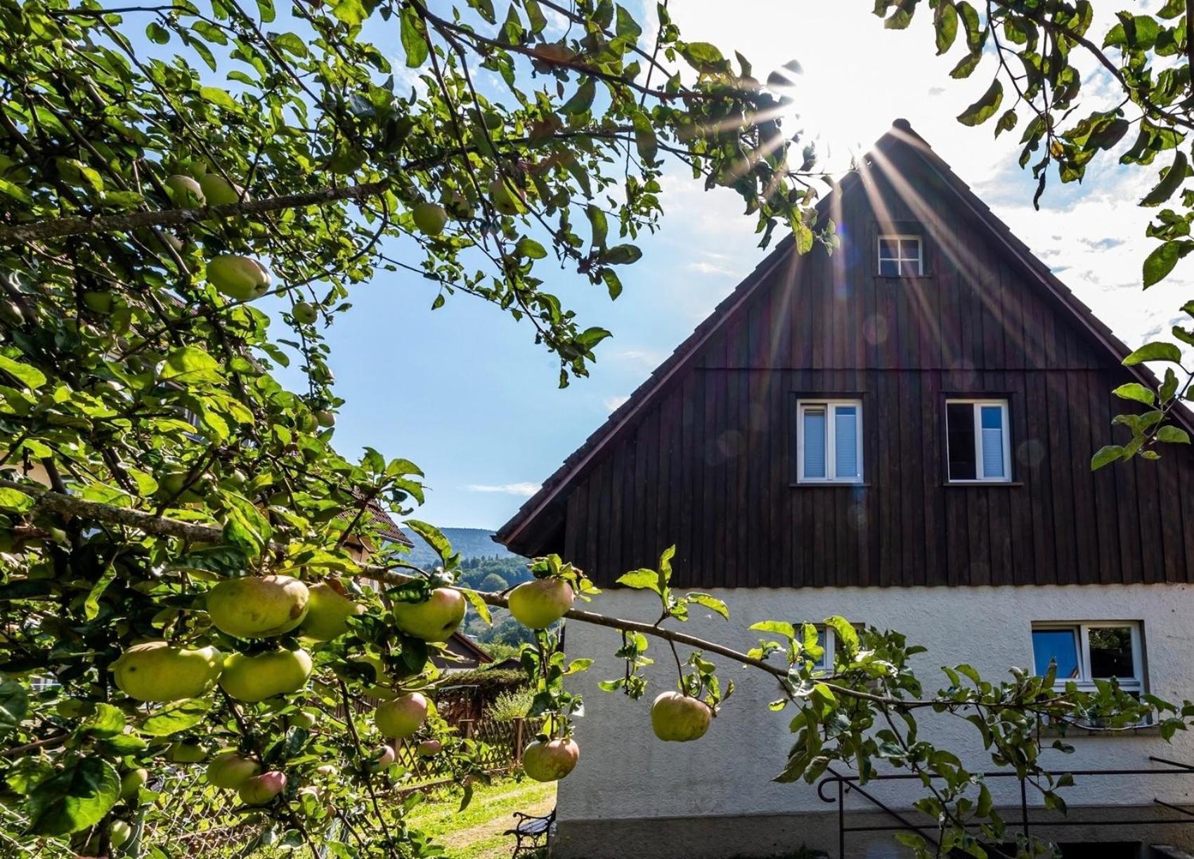 Gartenferienhaus "Annaluise" Schönau im Schwarzwald Extérieur photo