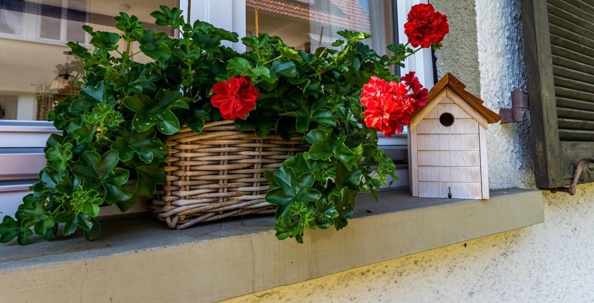 Gartenferienhaus "Annaluise" Schönau im Schwarzwald Extérieur photo